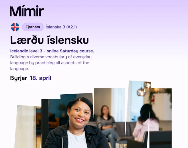 Íslenska 3 fjarnámskeið | Icelandic 3 Online