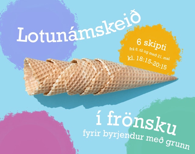 Lotunámskeið í frönsku fyrir byrjendur með grunn