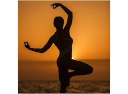FlexyBend Vinyasa Yoga