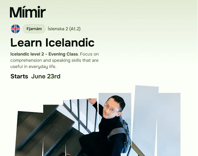 Íslenska 2 netnámskeið | Icelandic 2 online