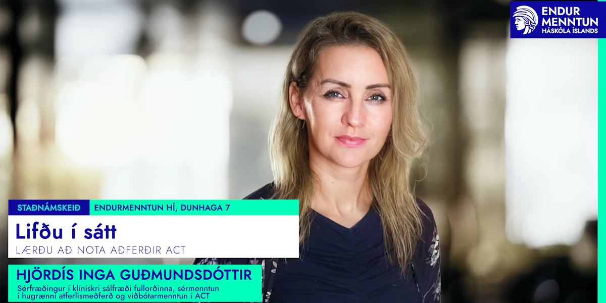 Endurmenntun HÍ