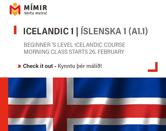 Icelandic 1 | Íslenska 1 (A1.1)