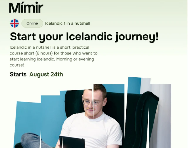Icelandic 1 in a nutshell (A1.1)