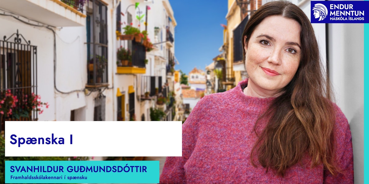 Endurmenntun HÍ