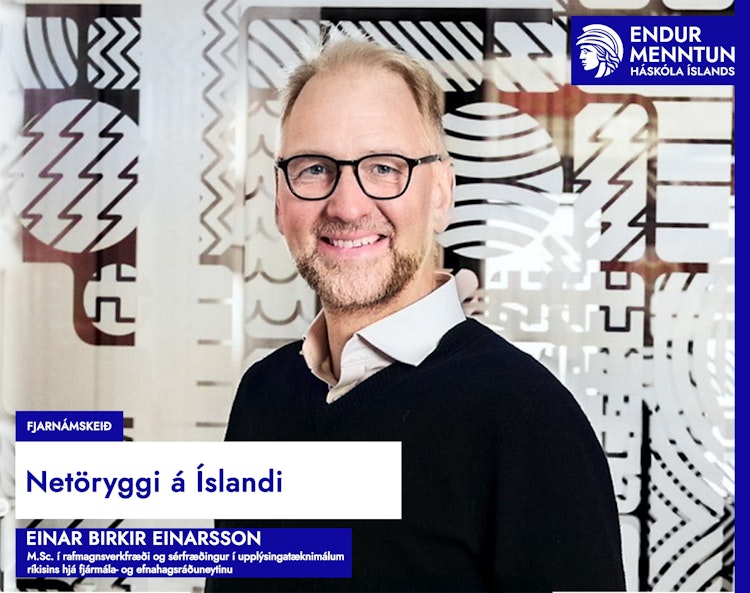 Netöryggi á Íslandi