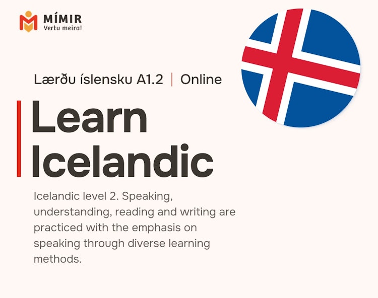 Íslenska 2 fjarnámskeið | Icelandic 2 online