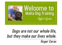 Malta Dog Training Services