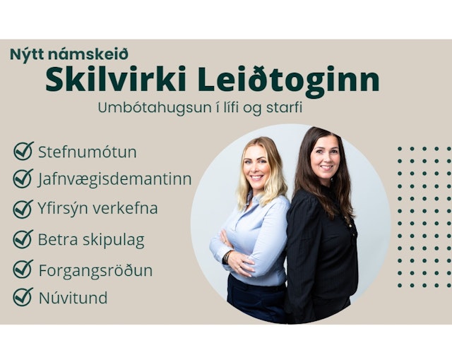 Skilvirki leiðtoginn