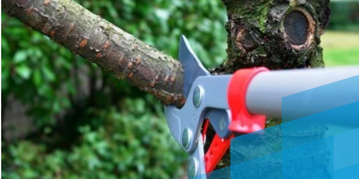 Iðan fræðslusetur