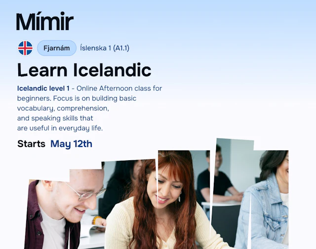 Íslenska 1 netnámskeið | Icelandic 1 online