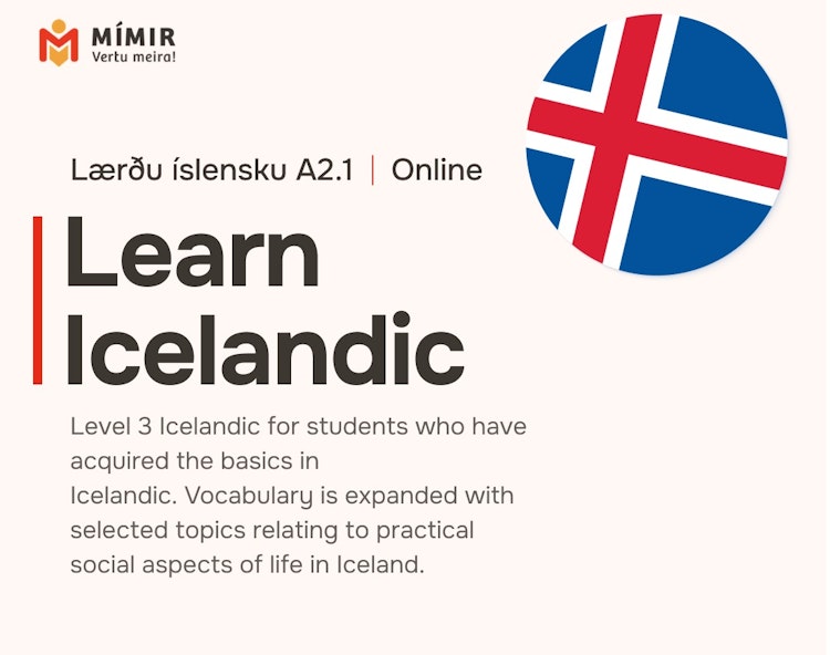 Íslenska 3 fjarnámskeið | Icelandic 3 online