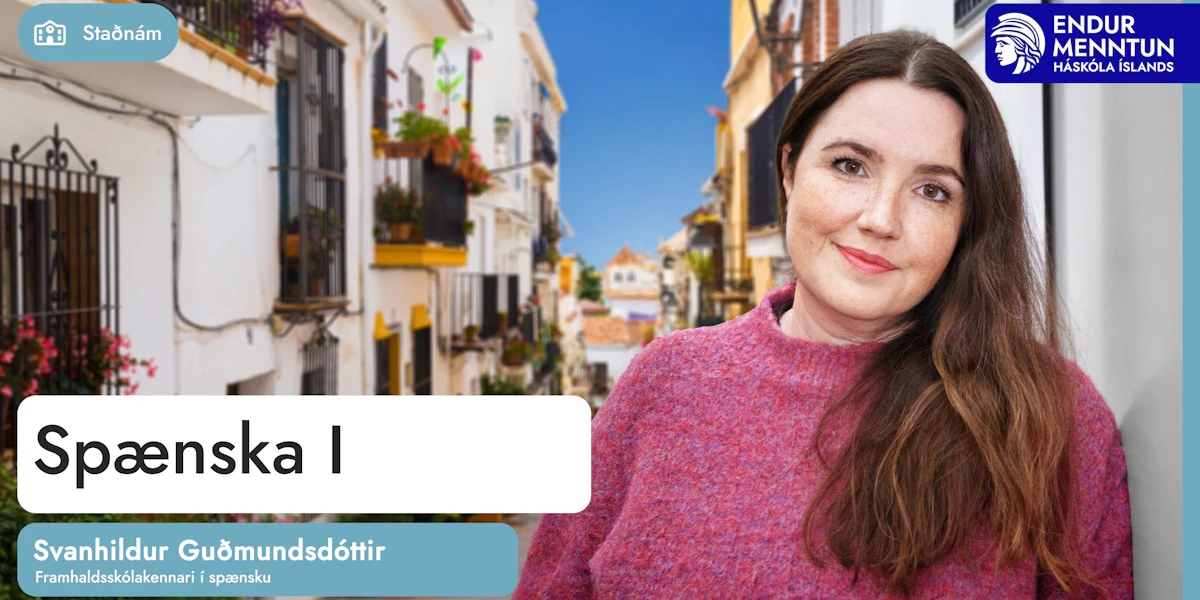 Endurmenntun HÍ