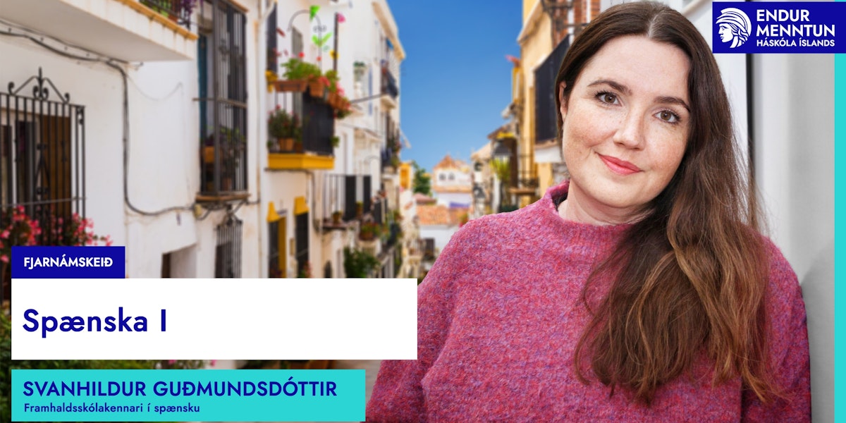 Endurmenntun HÍ