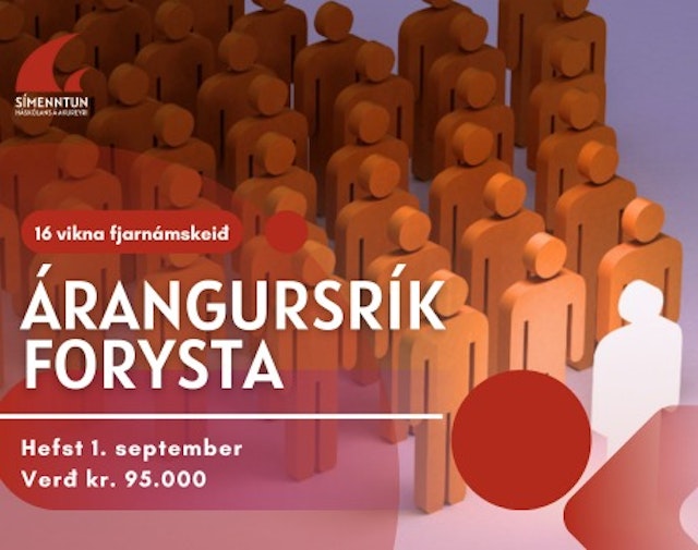 Árangursrík forysta