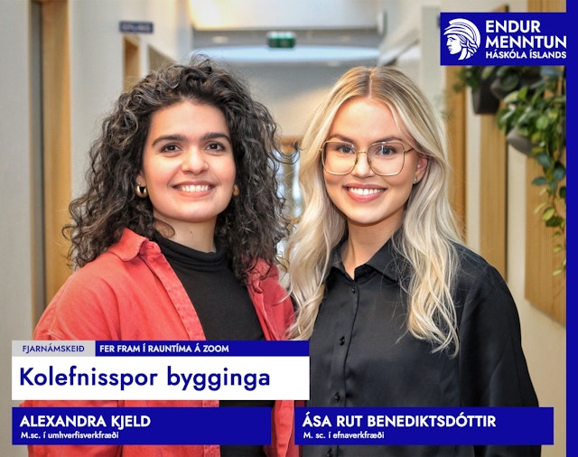 Kolefnisspor bygginga