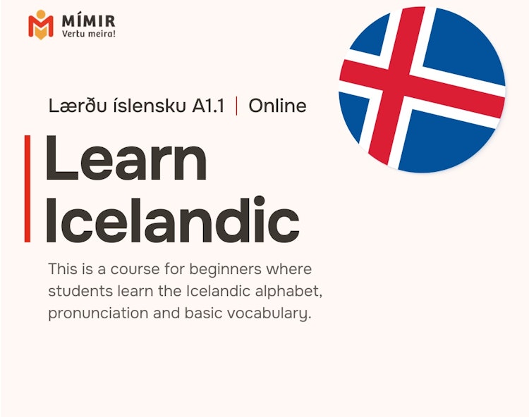 Íslenska 1 fjarnámskeið | Icelandic 1 online
