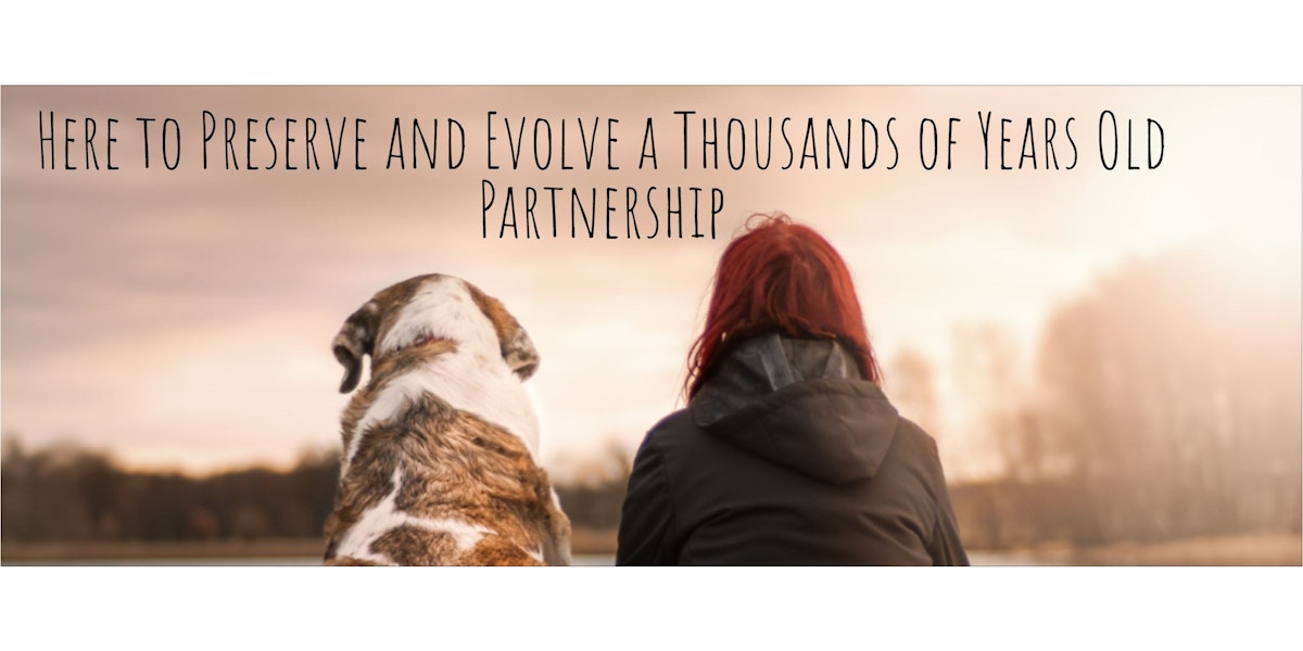 The Pack Therapist Dog Trainer & Behaviourist