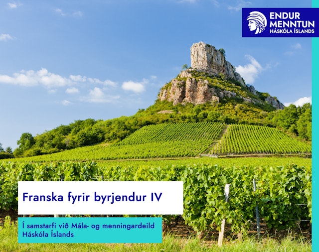 Franska fyrir byrjendur IV