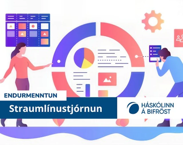 Straumlínustjórnun