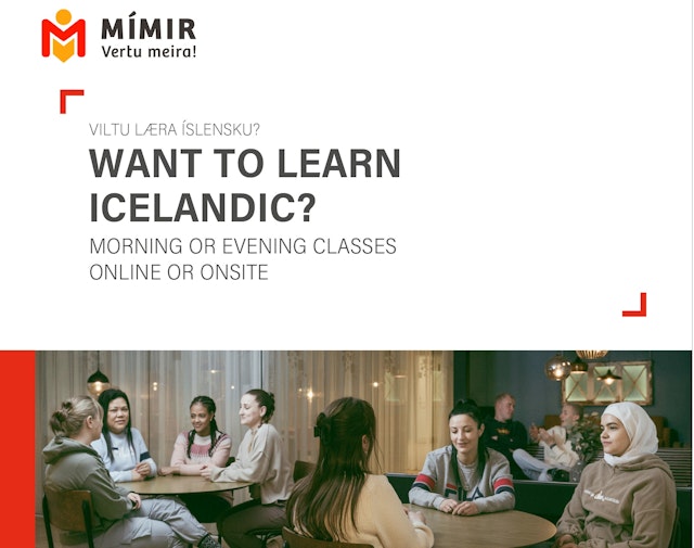 Icelandic 1 beginner's classes | Íslenska 1 (A1.1)