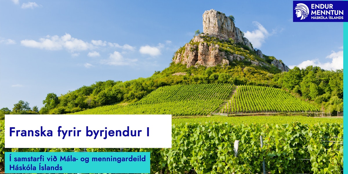Endurmenntun HÍ