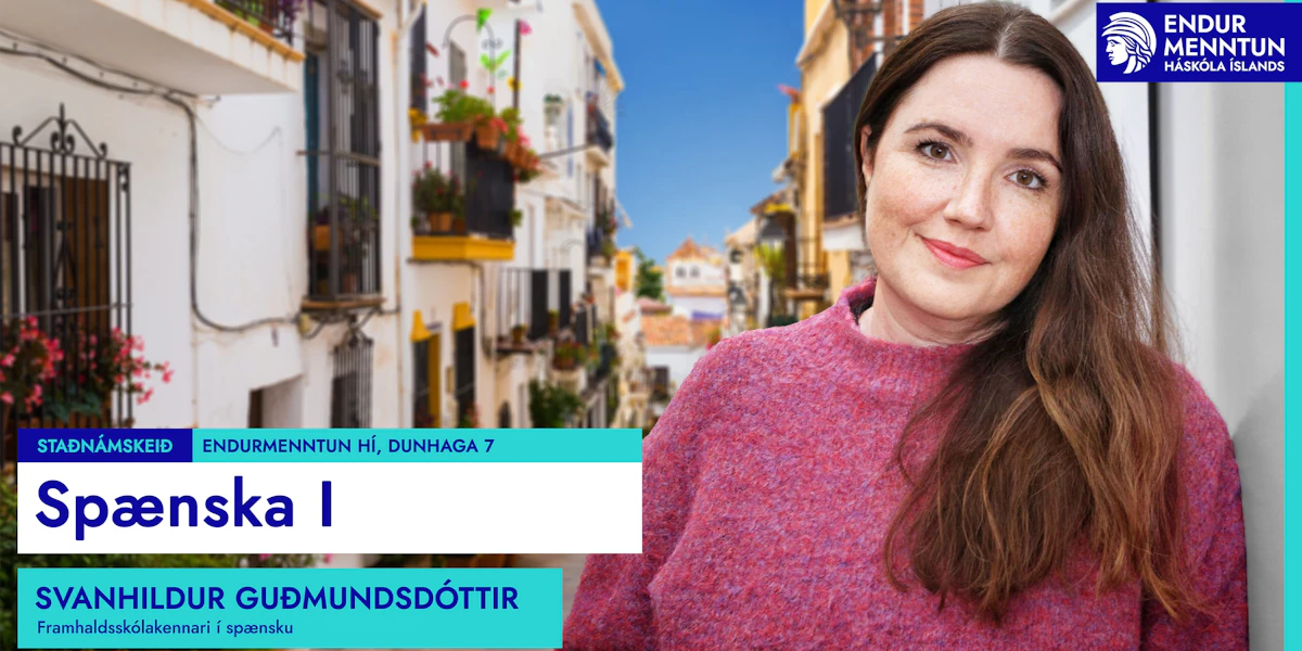 Endurmenntun HÍ