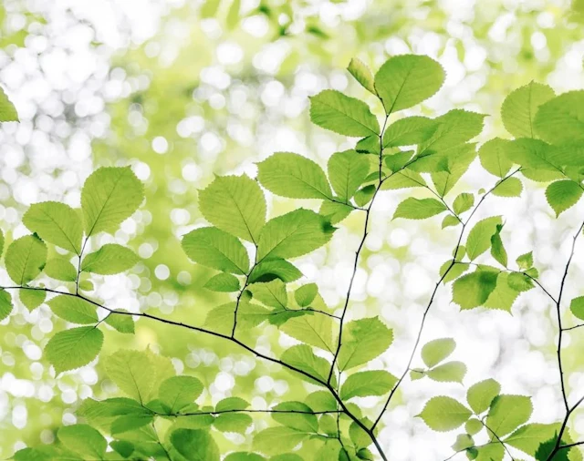 Viltu njóta  þín betur í vinnunni?