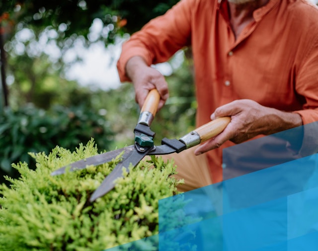 Trjá- og runnaklippingar