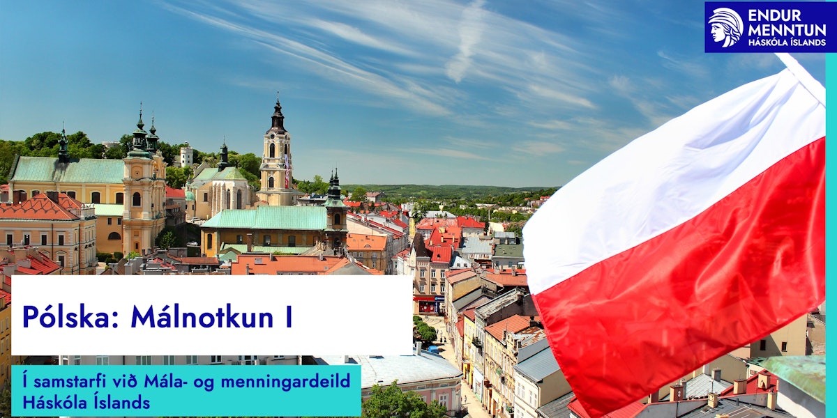 Endurmenntun HÍ