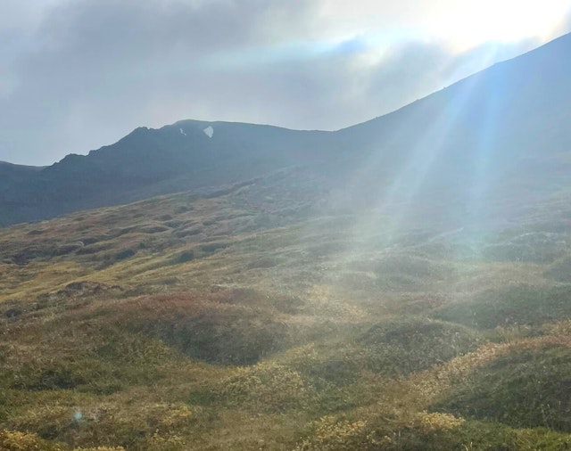 Green Transition: Icelandic ecosystem strategies