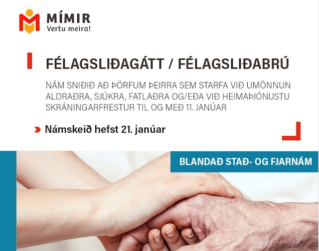 Félagsliðagátt / Félagsliðabrúa