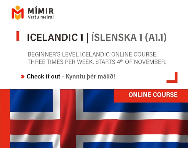 Íslenska 1 á netinu | Icelandic 1 online course