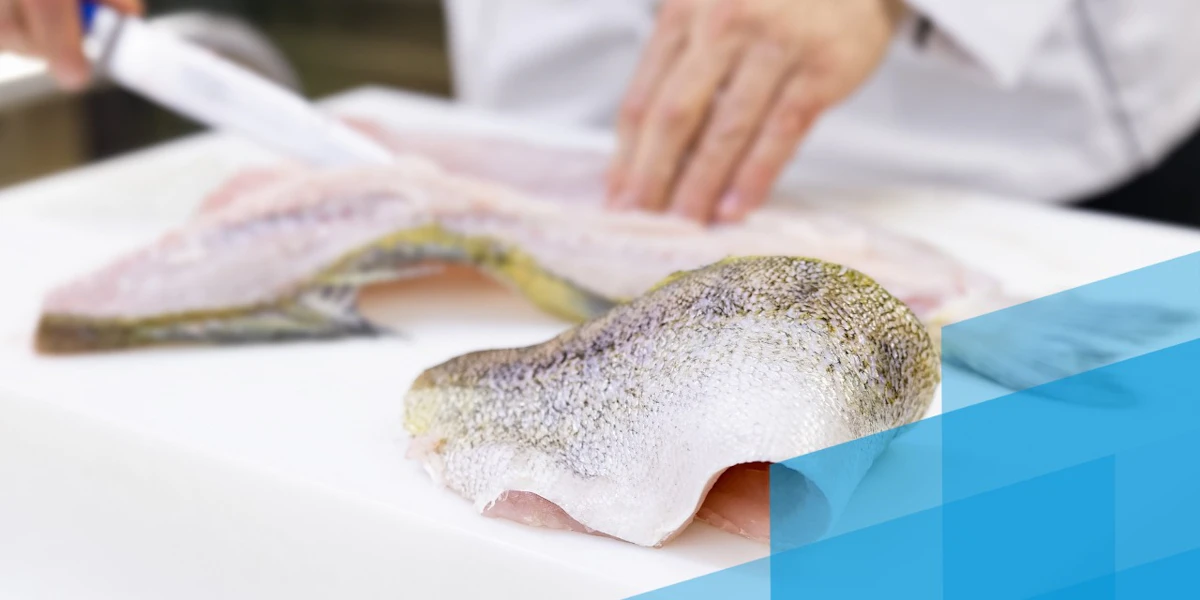 Iðan fræðslusetur