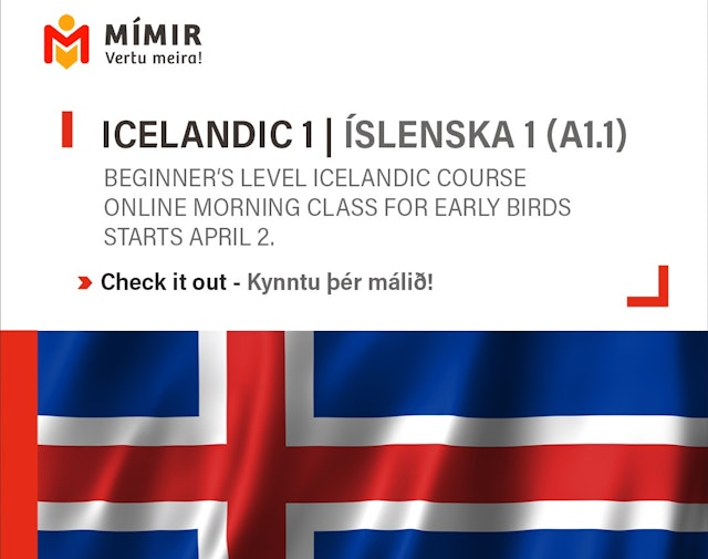 Icelandic 1 Online beginner's course | Íslenska 1